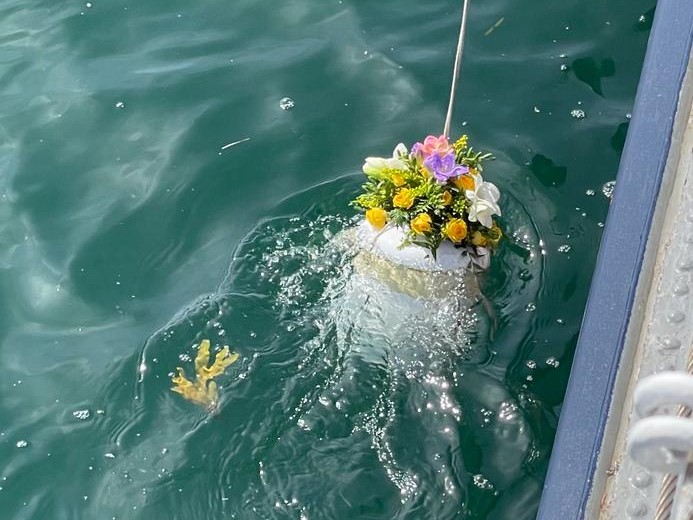 Abschied auf dem Meer – die letzte Ruhe in der geliebten Ostsee finden