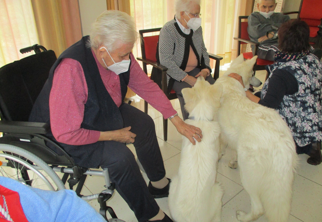 ASB_News_2021_Tiertherapie03.jpg