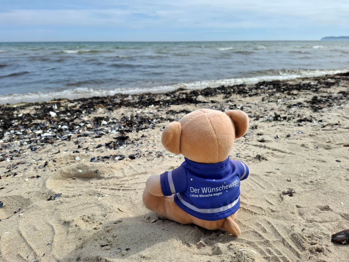 Zeitspuren am Meer – Erinnerungen an Prora 