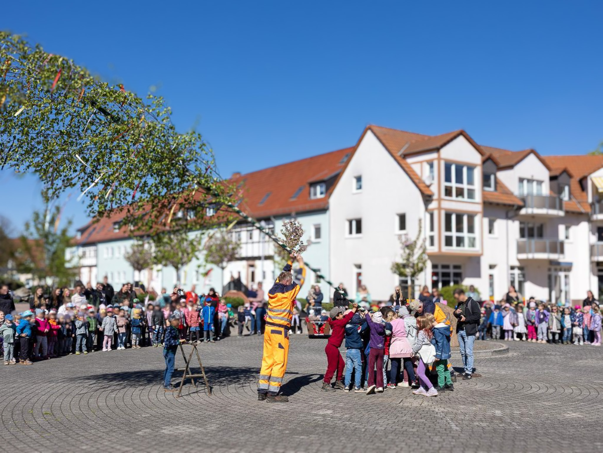 Jung & Alt gemeinsam zum Maibaumsetzen in Kitzscher