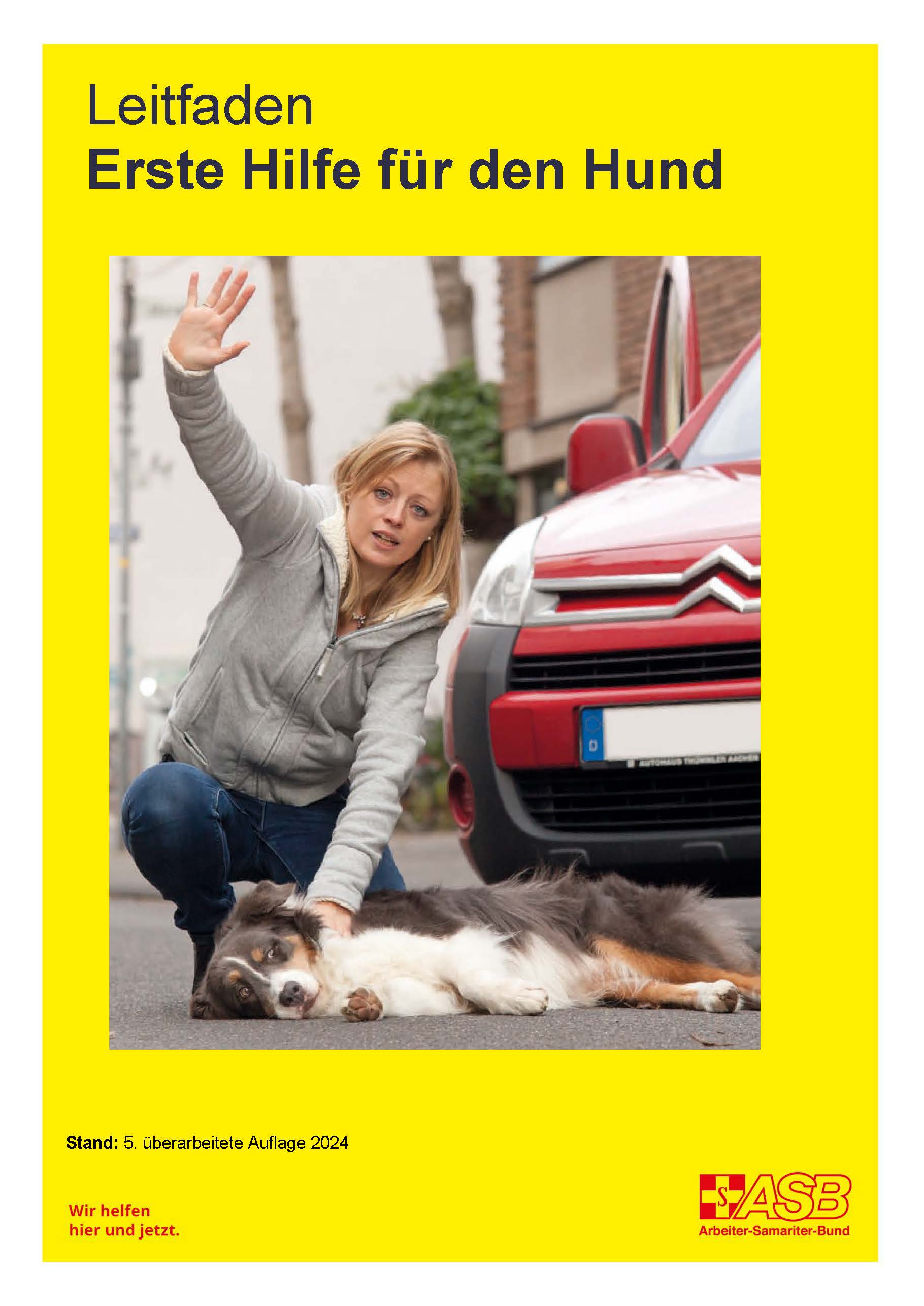 Leitfaden Erste Hilfe fuer den Hund_Titelfoto.jpg