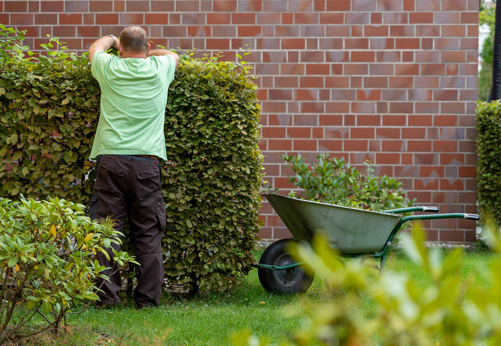 Mit viel Liebe wird auch der Garten gehegt und gepflegt