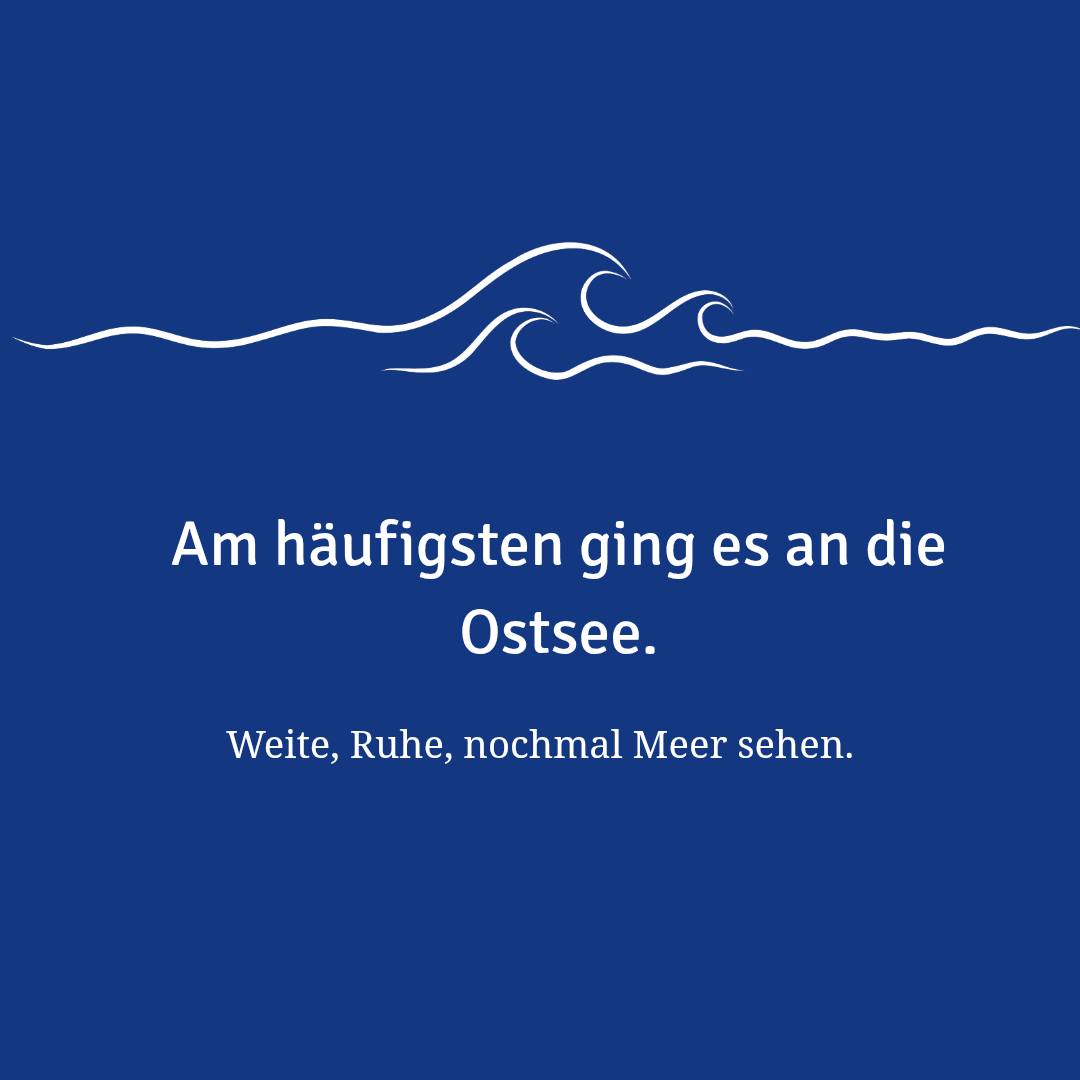 Jahresrückblick 2025-5.jpg