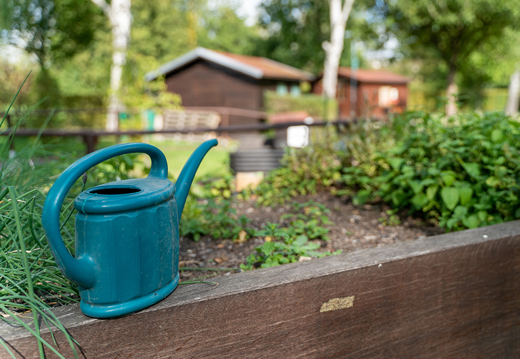 Garten und Außenanlage erblühen dank dem Gärtnerservice