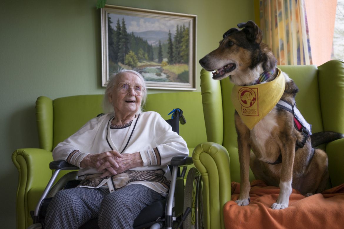 Hundetherapie